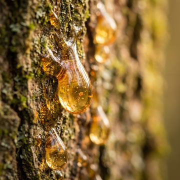 Resins